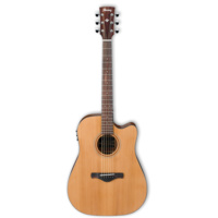Ibanez AW65EC Acoustic Guitar