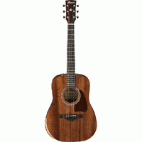 Ibanez AW54JROPN Artwood Series Traveller Acoustic Guitar in Open Pore Natural