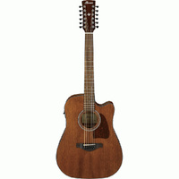 Ibanez AW5412CEOPN Artwood Series 12-String AC/EL Guitar in Open Pore Natural