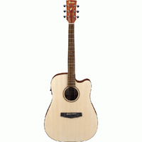 Ibanez PF10CEOPN AC/EL Guitar in Open Pore Natural