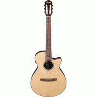 Ibanez AEG50NNT AC/EL Nylon-String Guitar in Natural High Gloss