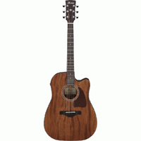 Ibanez AW1040CEOPN Artwood Series AC/EL Guitar in Open Pore Natural