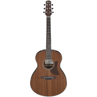 Ibanez AAM54OPN Acoustic Guitar in Open Pore Natural