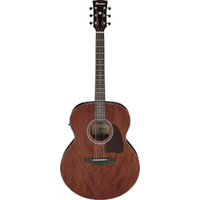 Ibanez AJ54E Artwood Series AC/EL Guitar in Open Pore Natural