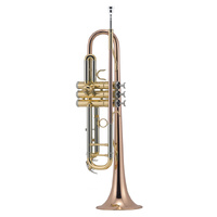 J.Michael TR450 Trumpet (Bb) in Clear Lacquer Finish