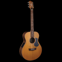 Pratley Premier Series Concert Model Blackwood B/S Fig Top