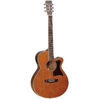 Tanglewood 45ASE Sundance Performance Pro Super Folk with ABS Case