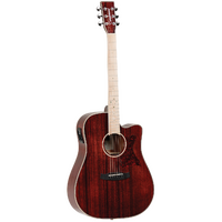 Tanglewood TW5BLB Winterleaf Blonde Dreadnought C/E Barossa Gloss