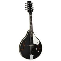 Union Series Mandolin Black With Pickup