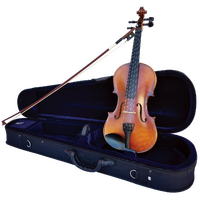 Vivo Encore Student 12 " Viola Outfit