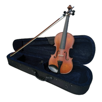 Vivo Alpha 4/4 Student Violin Outfit - Including Professional Setup