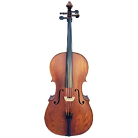 Vivo Elite Cello 4/4    Outfit