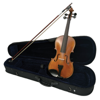 Vivo Encore 4/4 Student Violin Outfit